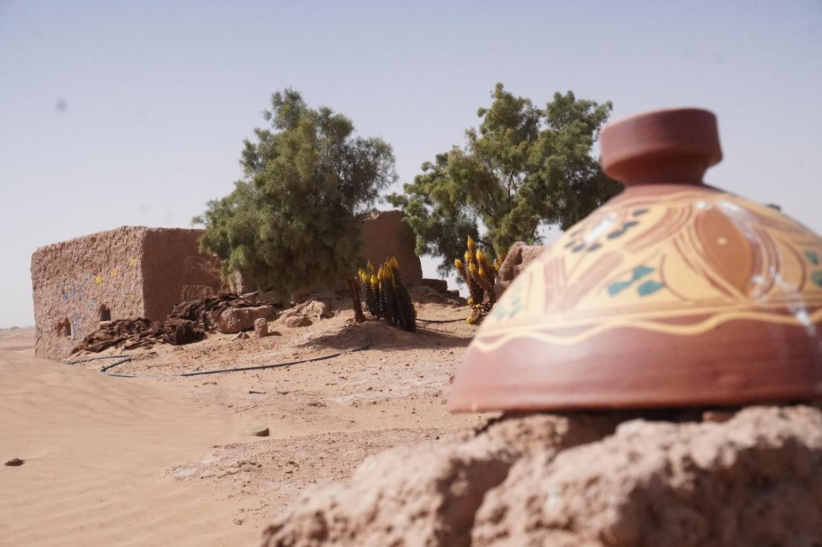 Green Camp Sahara M'Hamid Exterior photo