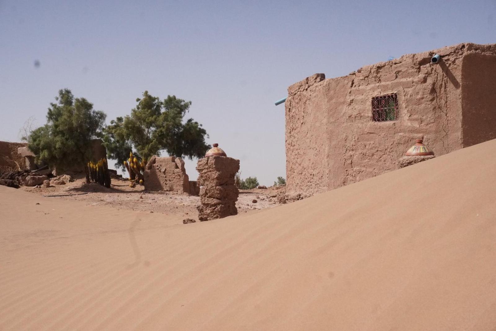 Green Camp Sahara M'Hamid Exterior photo